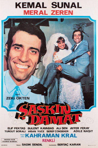 Şaşkın Damat afişi