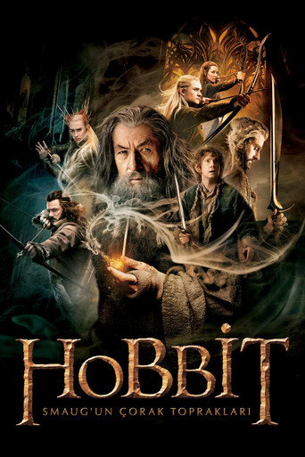 Hobbit: Smaug’un Çorak Toprakları afişi