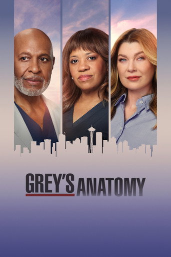Grey’s Anatomy afişi
