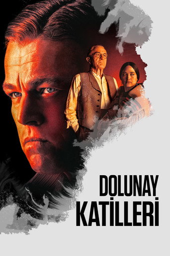 Dolunay Katilleri afişi