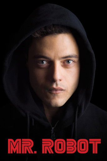 Mr. Robot afişi