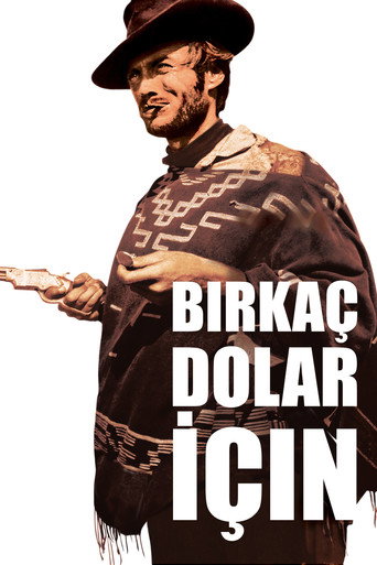 Birkaç Dolar İçin afişi