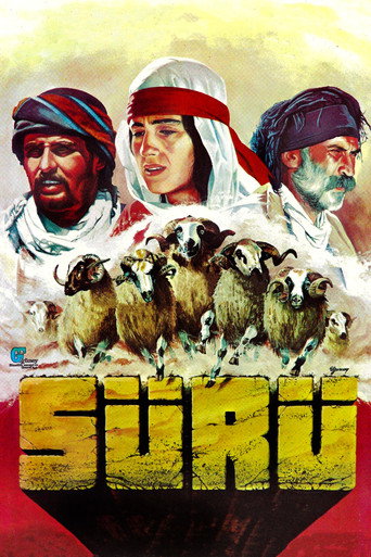 Sürü afişi