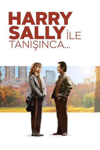 When Harry Met Sally… afişi