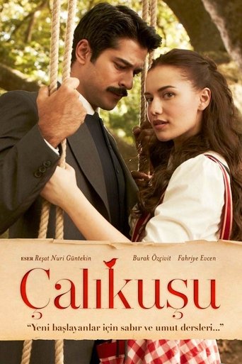 Çalıkuşu afişi
