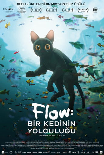 Flow afişi