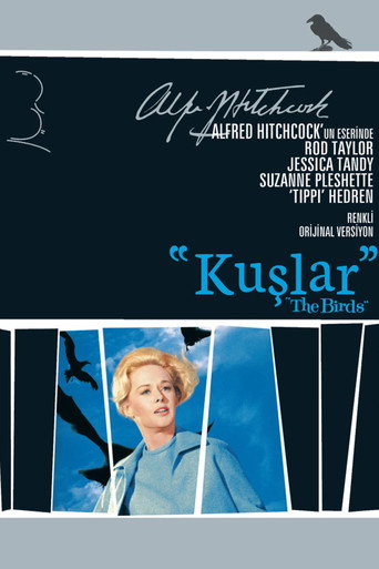 Kuşlar afişi