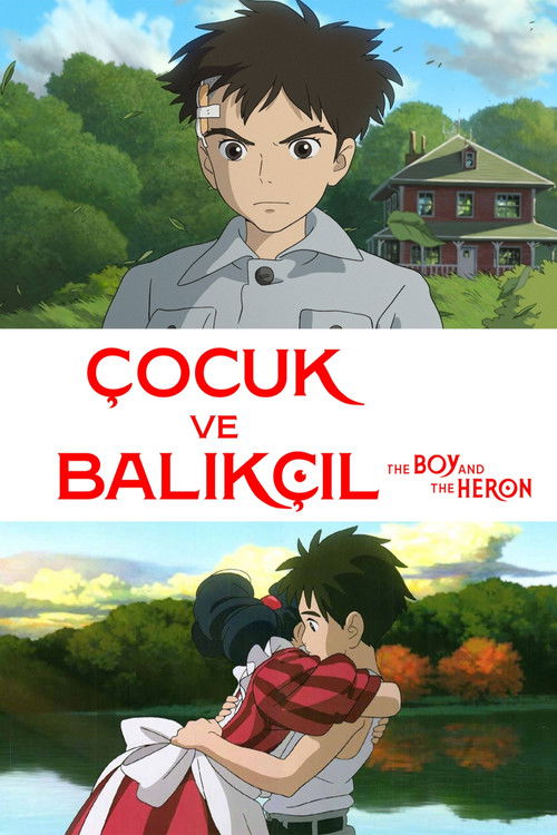 Çocuk ve Balıkçıl afişi