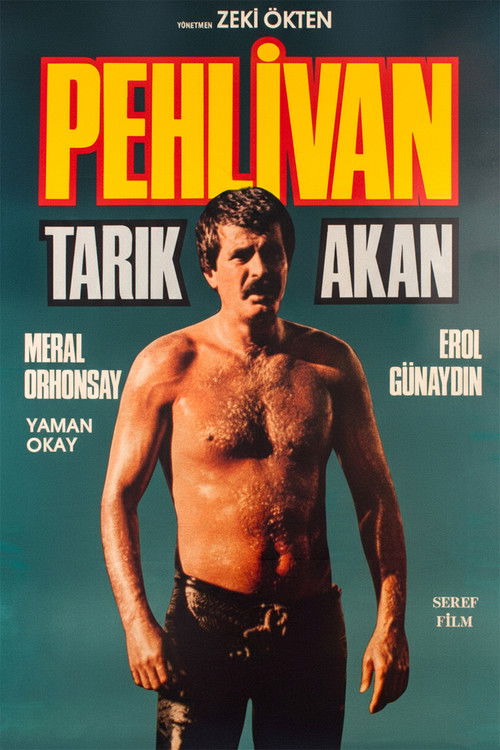 Pehlivan afişi