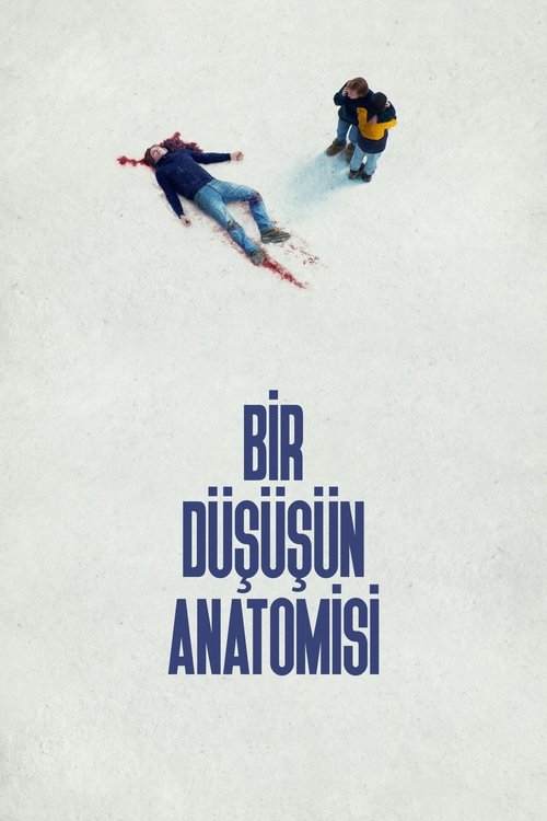 Bir Düşüşün Anatomisi afişi