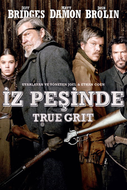 İz Peşinde afişi